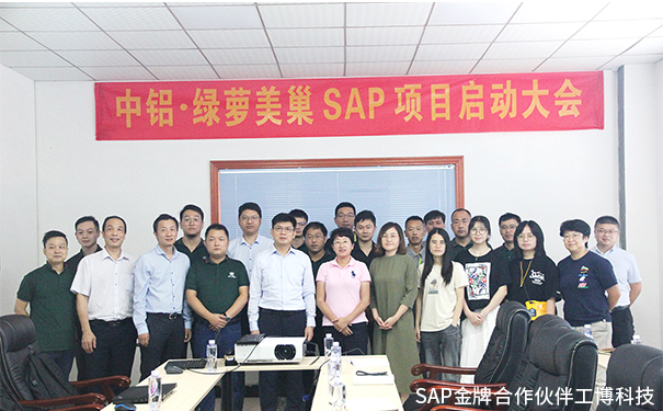 美巢家居ERP,綠蘿美巢ERP,中國(guó)鋁業(yè)集團(tuán)ERP,SAP Business One系統(tǒng)，中鋁·綠蘿美巢SAP ERP項(xiàng)目