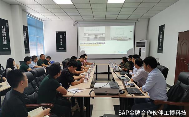 美巢家居ERP,綠蘿美巢ERP,中國(guó)鋁業(yè)集團(tuán)ERP,SAP Business One系統(tǒng)，中鋁·綠蘿美巢SAP ERP項(xiàng)目