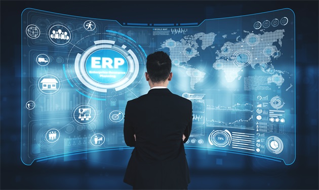集團企業(yè)母子公司SAP ERP系統(tǒng)如何無縫對接？