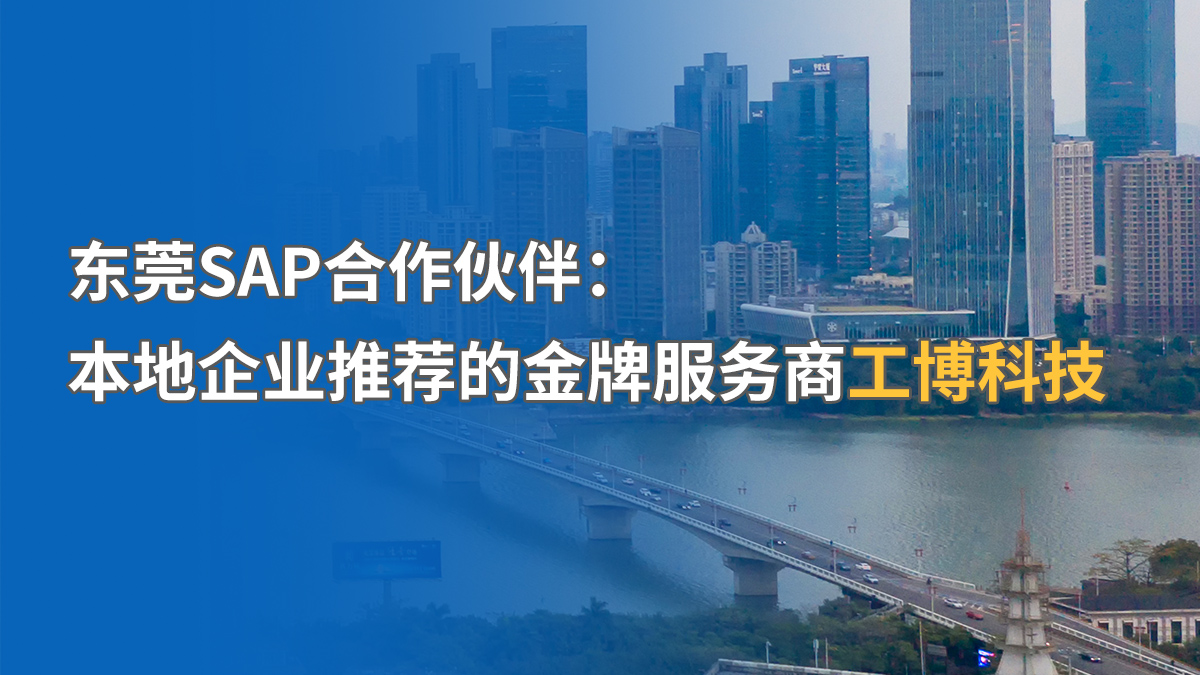 東莞SAP本地化服務(wù)商推薦，哪家更專業(yè)？